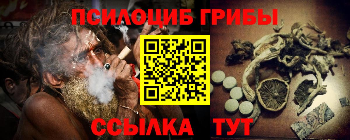Галлюциногенные грибы Magic Shrooms  Вход с VPN  Волгоград  Псилоцибиновые грибы ЛСД 